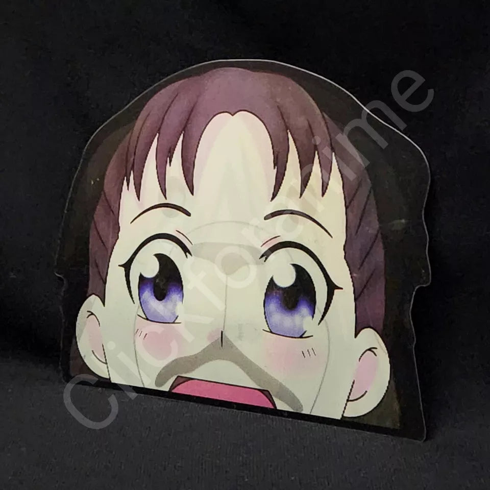 Fullmetal Alchemist Nina Tucker Dog 3D Moving Sticker Lenticular Decal Anime